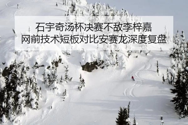 石宇奇汤杯决赛不敌李梓嘉 网前技术短板对比安赛龙深度复盘